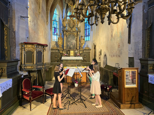 Starý Plzenec, kostel Narození Panny Marie, Malá Strana